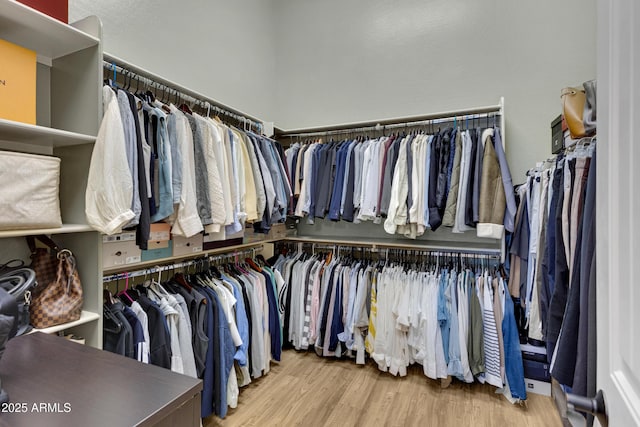 spacious closet with light wood-style flooring