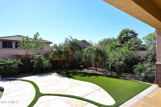 view of yard featuring a patio area and a fenced backyard