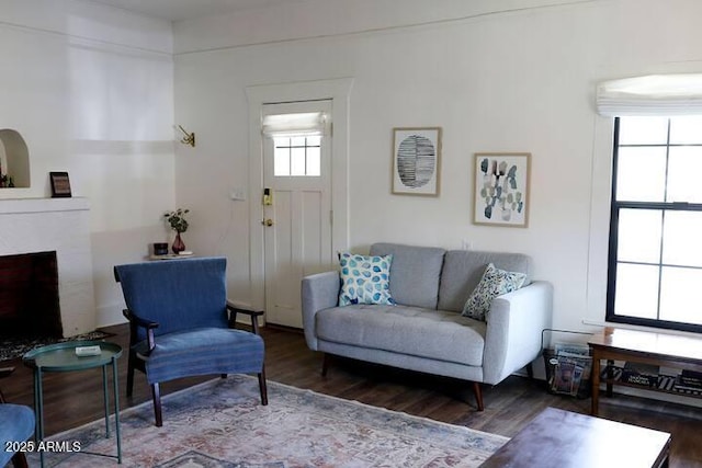 living area featuring a healthy amount of sunlight, a premium fireplace, and wood finished floors