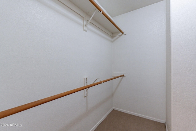 spacious closet featuring carpet floors