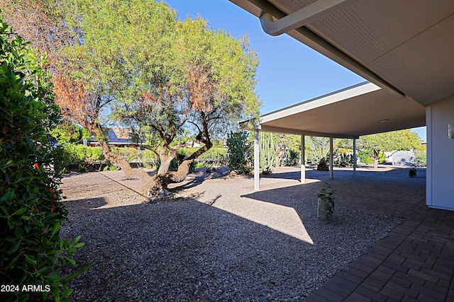 view of yard featuring a patio area