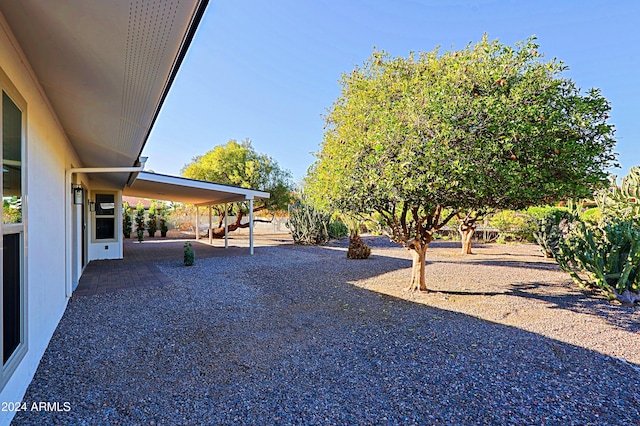 view of yard with a patio area