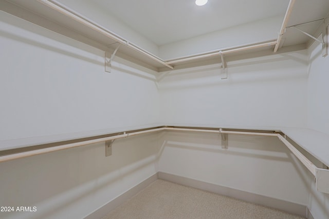 spacious closet featuring light carpet