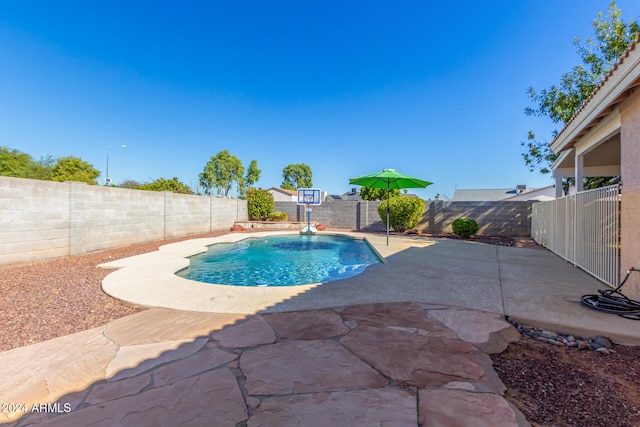 view of pool featuring a patio