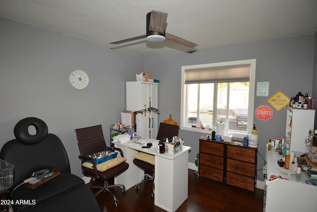 office featuring dark hardwood / wood-style floors and ceiling fan