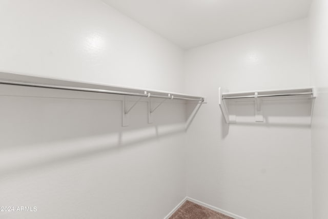 530 W Pintail Dr, Casa Grande, AZ 85122 - spacious closet with carpet