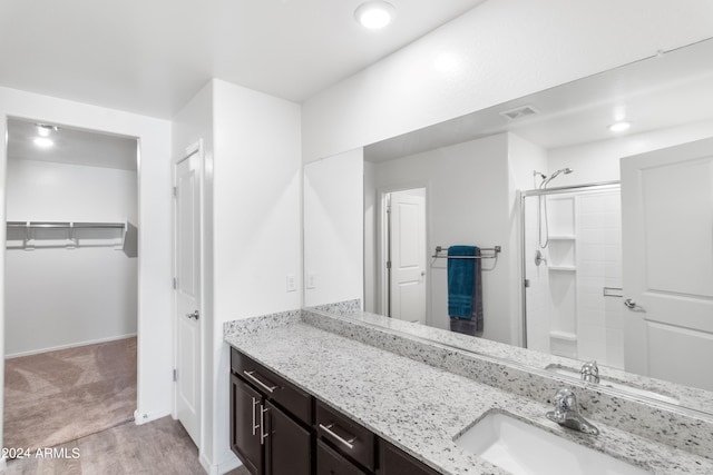 530 W Pintail Dr, Casa Grande, AZ 85122 - bathroom with a shower, vanity, a spacious closet, and wood finished floors