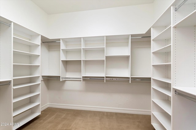 spacious closet featuring carpet floors