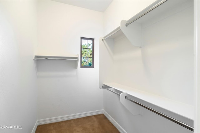 walk in closet featuring a barn door