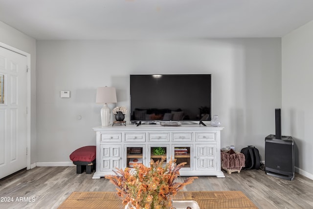 living room featuring light wood-type flooring