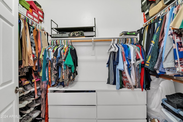 view of spacious closet