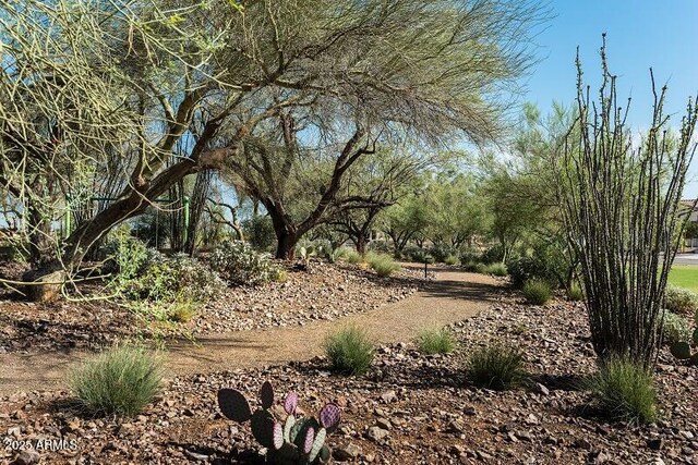 26209 N 19th Ln, Phoenix, AZ 85085 - view of undeveloped land