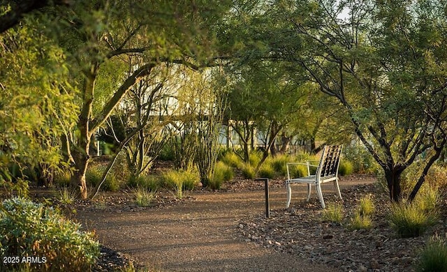 26209 N 19th Ln, Phoenix, AZ 85085 - view of community