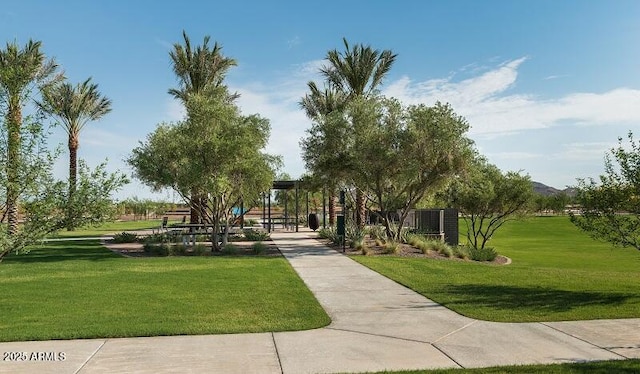 26209 N 19th Ln, Phoenix, AZ 85085 - surrounding community featuring a lawn