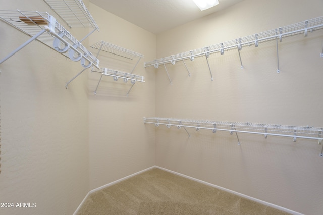 walk in closet with carpet flooring