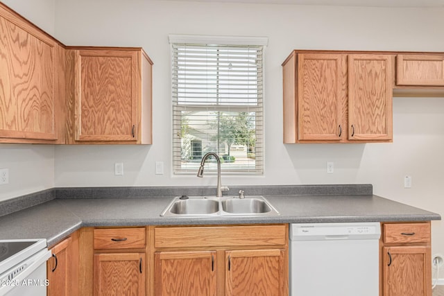 kitchen featuring dishwasher and sink