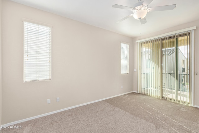 unfurnished room featuring ceiling fan and carpet