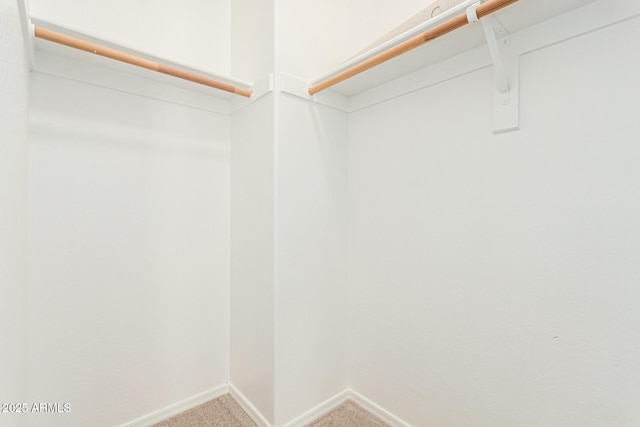 spacious closet with carpet flooring