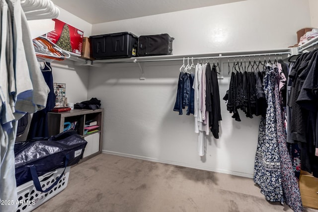 walk in closet with carpet floors