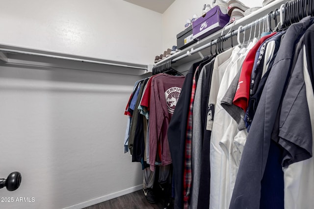 spacious closet featuring wood finished floors