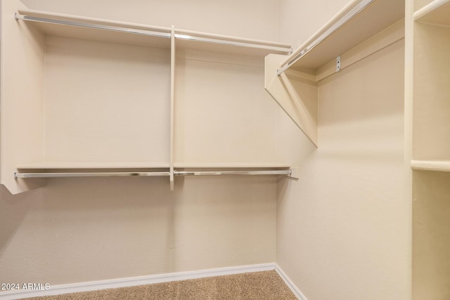 322 E Caribbean Dr, Casa Grande, AZ 85122 - spacious closet featuring carpet flooring