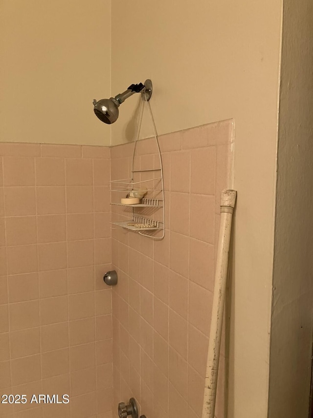 9033 N 15th Dr, Phoenix, AZ 85021 - bathroom view of tiled shower