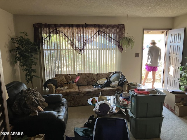 9033 N 15th Dr, Phoenix, AZ 85021 - carpeted living area featuring healthy amount of natural light and a textured ceiling