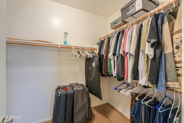 walk in closet featuring carpet