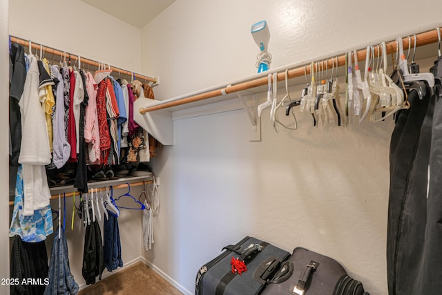 spacious closet featuring carpet flooring