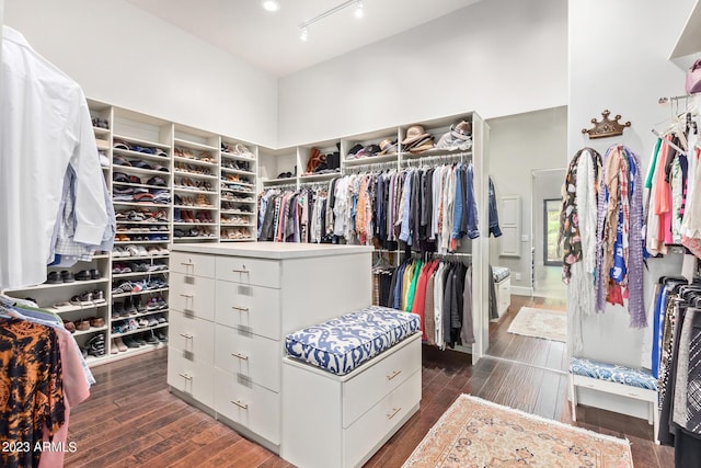 spacious closet with dark hardwood / wood-style flooring