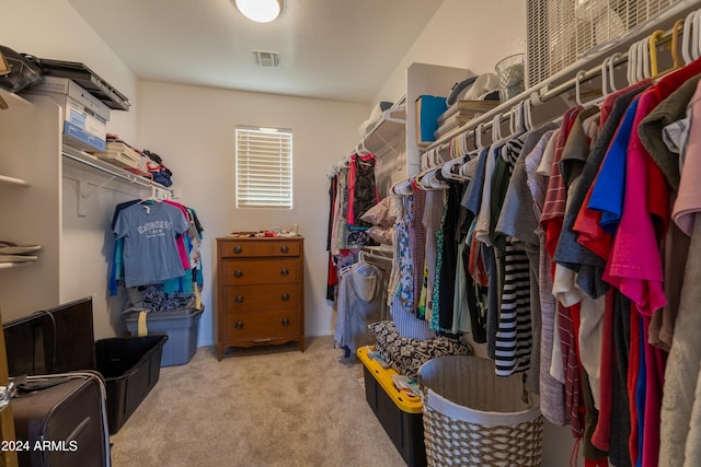 spacious closet with light carpet