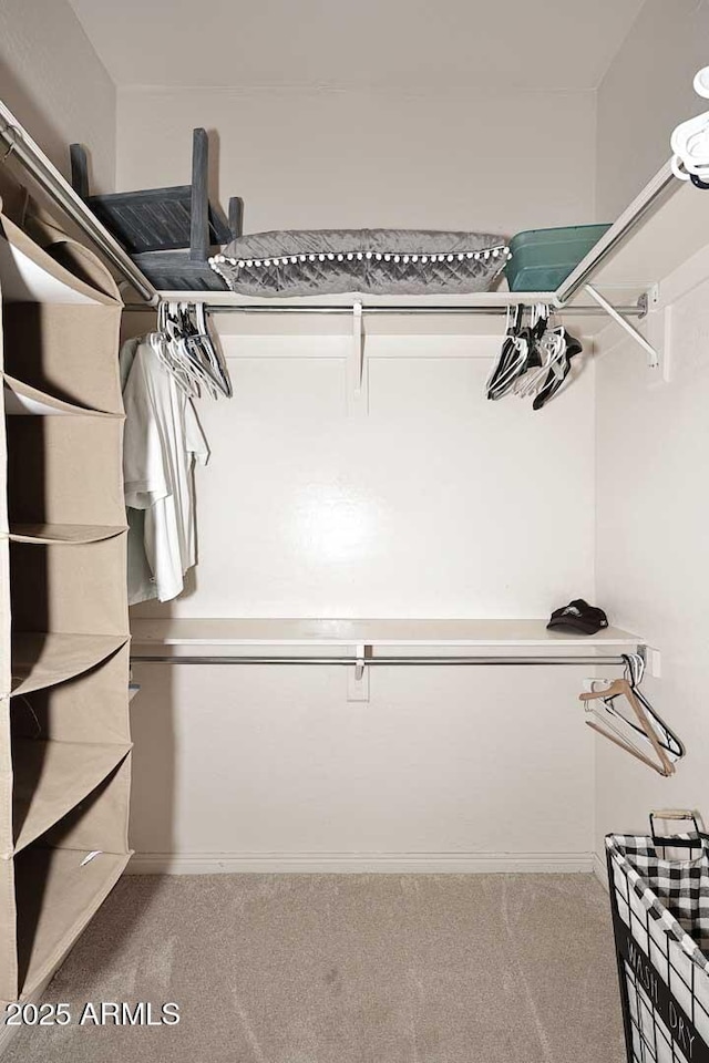 6937 E Purple Shade Cir, Scottsdale, AZ 85266 - walk in closet featuring carpet flooring