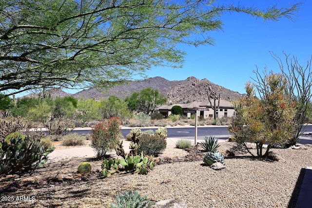 6937 E Purple Shade Cir, Scottsdale, AZ 85266 - view of mountain backdrop