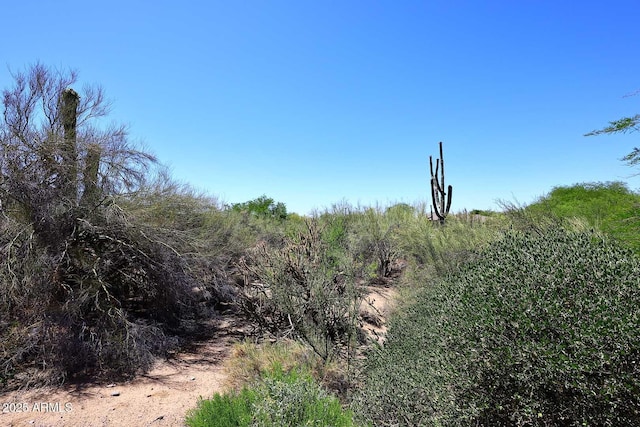 6937 E Purple Shade Cir, Scottsdale, AZ 85266 - view of local wilderness