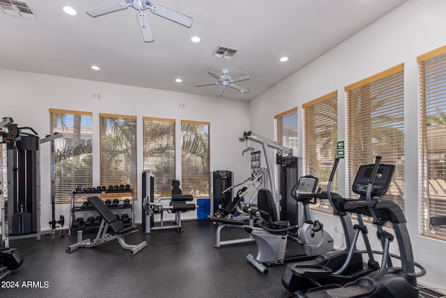 exercise room with ceiling fan and plenty of natural light