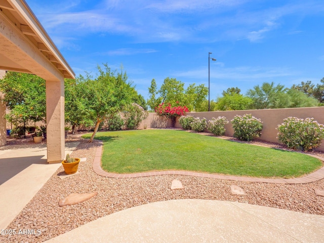 981 N Quail Ln, Gilbert, AZ 85233 - fenced backyard featuring a patio area