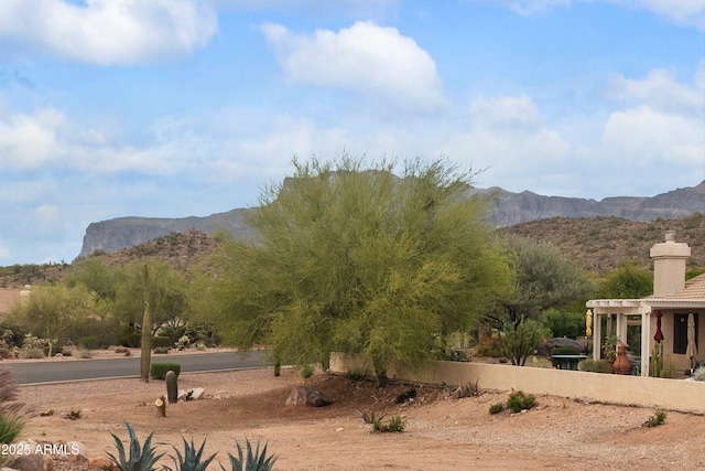 5552 S Feather Bush Ct, Gold Canyon, AZ 85118 - mountain view
