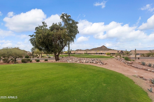 5552 S Feather Bush Ct, Gold Canyon, AZ 85118 - view of home's community with a lawn