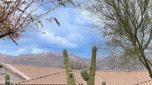 5552 S Feather Bush Ct, Gold Canyon, AZ 85118 - mountain view