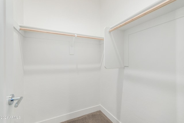 spacious closet featuring carpet flooring