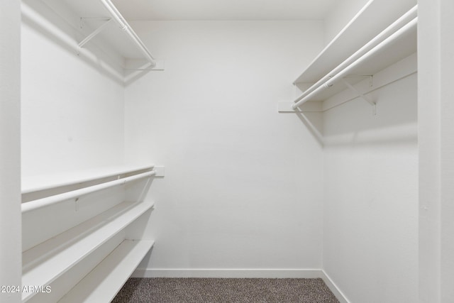 walk in closet featuring carpet