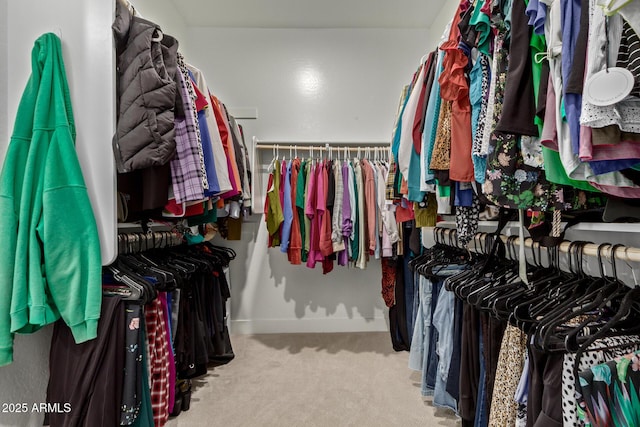 spacious closet featuring carpet flooring