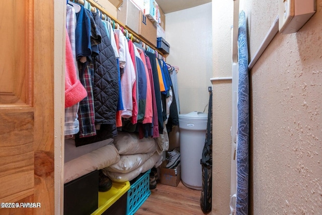 walk in closet featuring wood finished floors