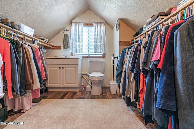 spacious closet with vaulted ceiling and wood finished floors