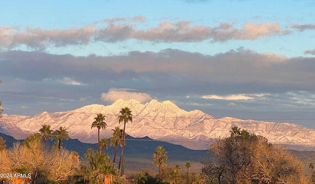 view of mountain feature