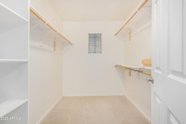 walk in closet with light colored carpet