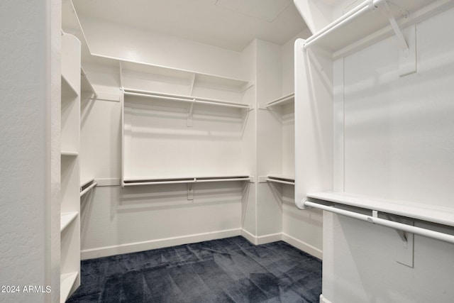 walk in closet with dark colored carpet