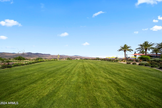 view of yard featuring a mountain view and a rural view