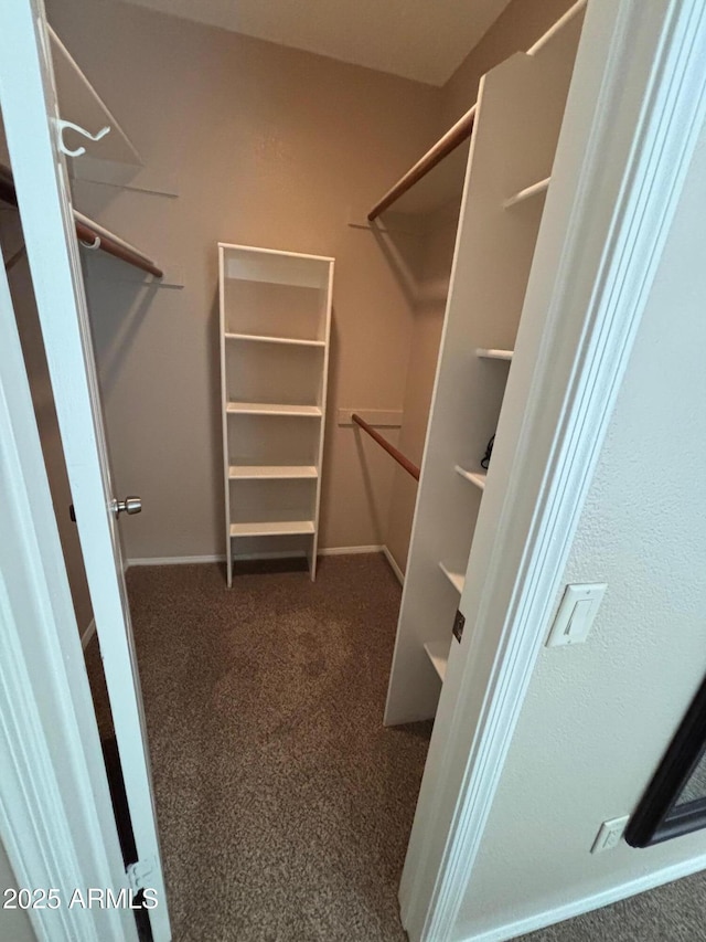 1825 W Ray Rd Unit 2082, Chandler, AZ 85224 - spacious closet featuring carpet