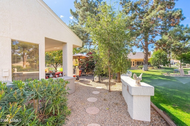 view of yard with a patio area